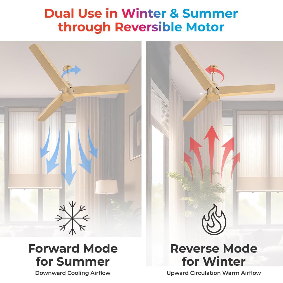 Polycab Silencio Mini 900mm Remote Ceiling fan (Birkin Gold)