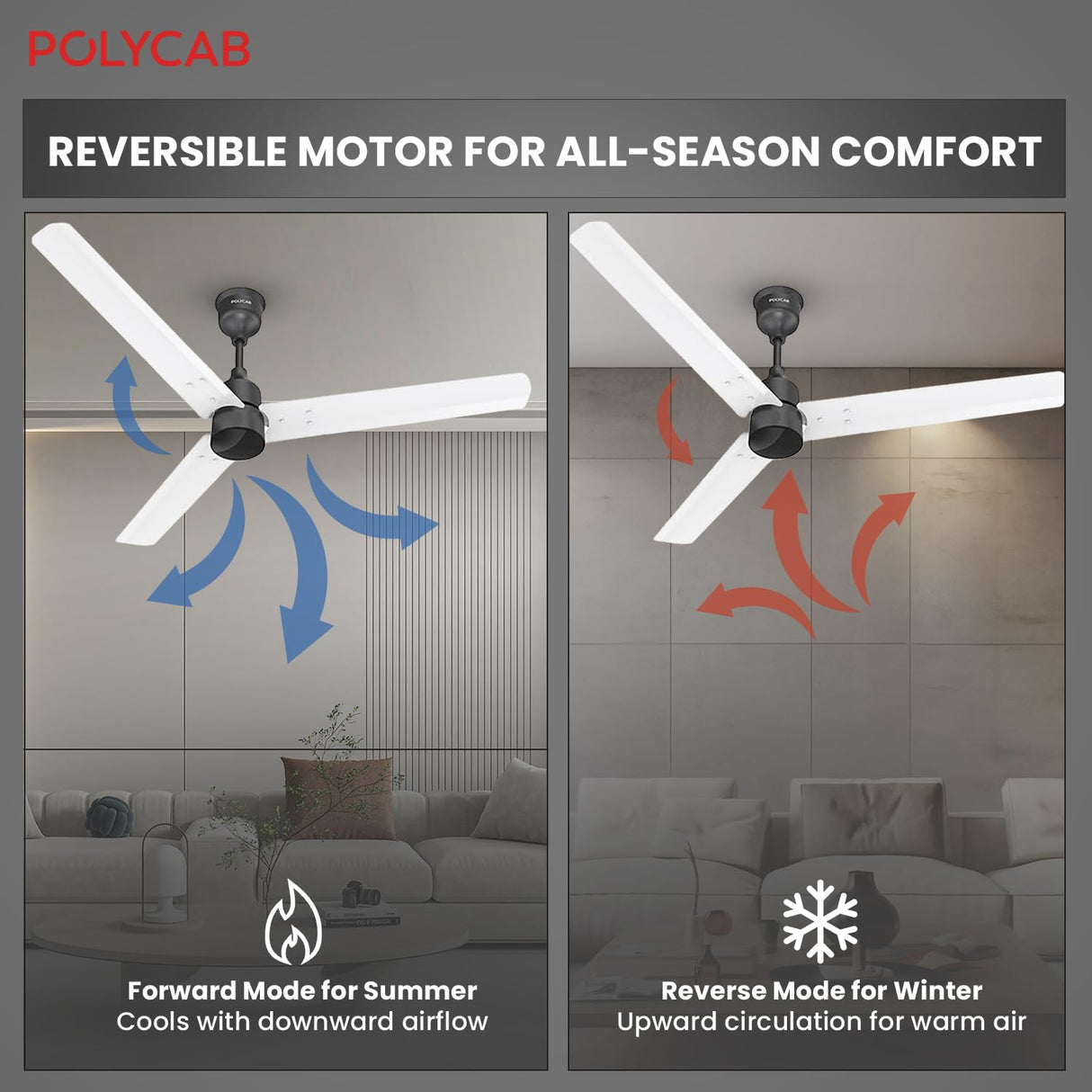 Polycab Wizzy Plus 1200mm 5-Star BLDC Ceiling fan with remote (Matt White Black)
