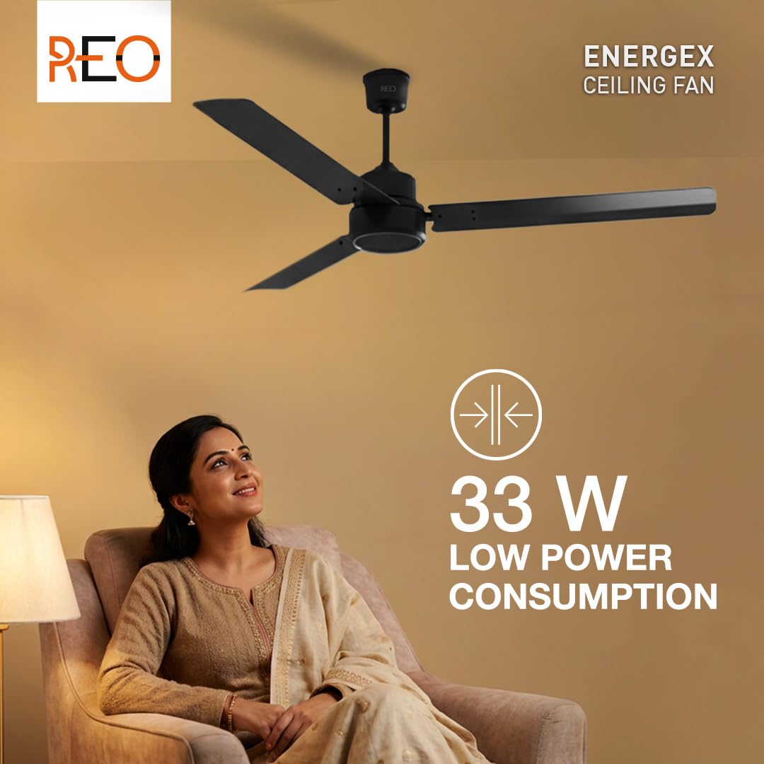 Havells REO Energex BLDC 1200MM Ceiling Fan (Matte Black)