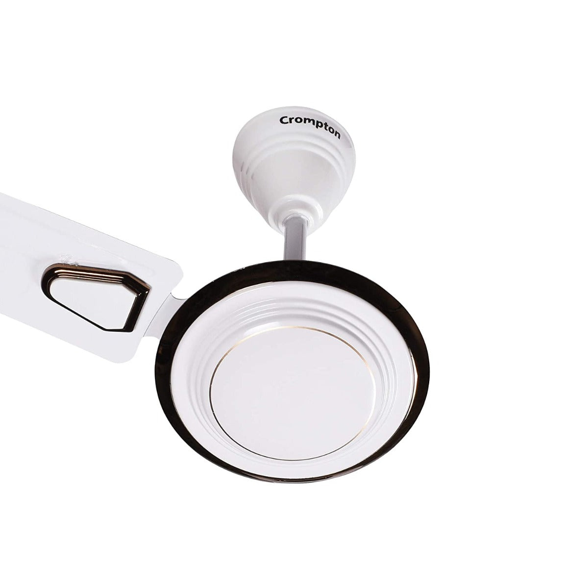 Designer Ceiling fans crompto n