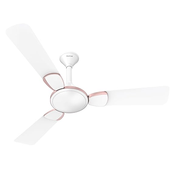 Ceiling fan with white blades and a central hub on a white background