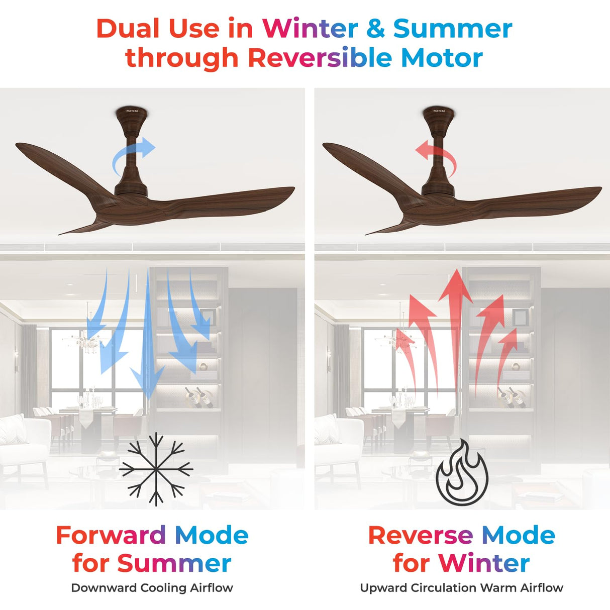 Polycab Silencio Cruiser Prime 1200mm BLDC Low Noise Ceiling fan 【Walnut Wood】