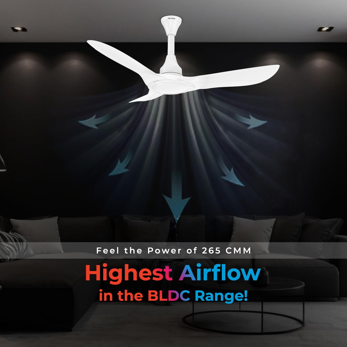 Polycab Silencio Cruiser Prime 1200mm BLDC Low Noise Ceiling fan 【White】