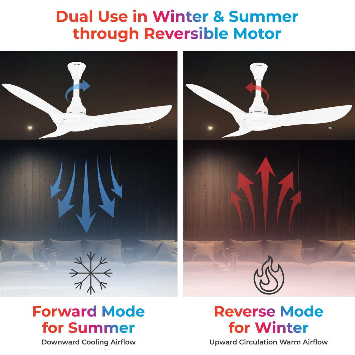 Polycab Silencio Cruiser Prime 1200mm BLDC Low Noise Ceiling fan 【White】