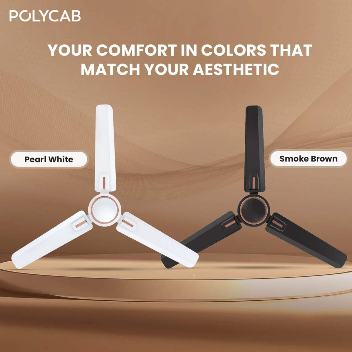Two ceiling fans, one pearl white and one smoke brown, on a brown background with Polycab branding.