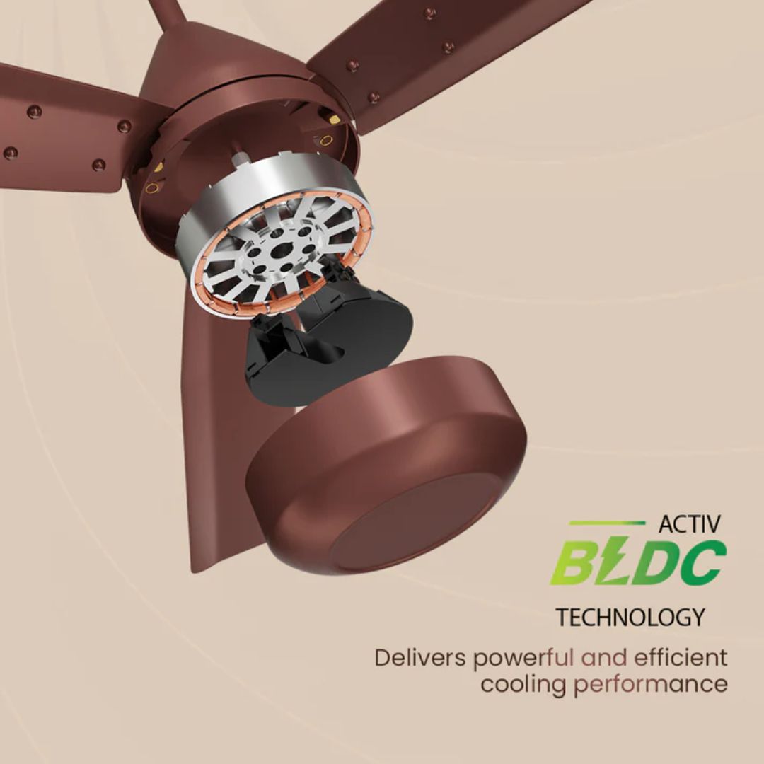 Crompton Energion Cookie 1200mm Ceiling Fan (Brown)