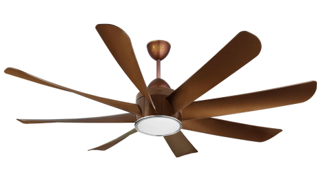 Ceiling Fan