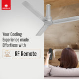 Havells 1200mm Elio Prime BLDC Ceiling Fan (Grey)