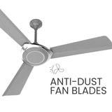 This Polycab Superb NEO comes with anti-dust fan blades 