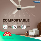 Crompton Energion Niteo 1200 mm BLDC Ceiling Fan (Ivory)