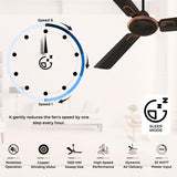 Polycab Zoomer Prime 1200mm 5-Star BLDC Remote Ceiling fan (Metallic Smoke Brown)