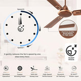 Polycab Zoomer Prime 1200mm 5-Star BLDC Remote Ceiling fan (Metallic Copper)