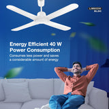 Havells 1200Mm Libeccio Bldc Motor Ceiling Fan with remote  (Pearl White)