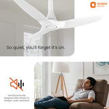 Ceiling fan with text 'So quiet, you'll forget it's on' and 'Orient Electric' logo.