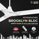 RR Signature 1200MM NY BROOKLYN BLDC Ceiling Fan Chrome White