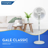 Crompton HighSpeed Gale Classic 400mm Pedestal Fan (KD White)