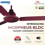 RR Signature (Previously Luminous) 1200 MM Morpheus BLDC Ceiling Fan with Remote (Brown)