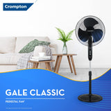 Crompton HighSpeed Gale Classic 400mm Pedestal Fan (Black)