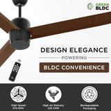 RR Signature Bonsai 5 Star BLDC Ceiling Fan (Ale Brown)