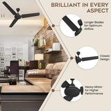 Polycab Nippy 1200mm High Speed 3 Blade Ceiling Fan (Matt Black)