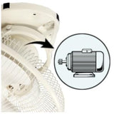 Havells Ciera 230mm Cabin Fan (Ivory)