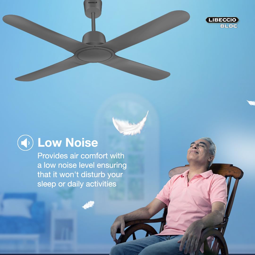 Havells 1200Mm Libeccio Bldc Motor Ceiling Fan with remote (Slate)