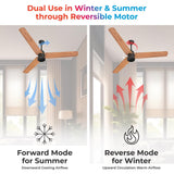 Polycab Silencio Mini BLDC 1200mm Ceiling Fan with Remote (NATURAL WOOD)