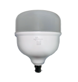 RR Signature Blaze 50W Jumbo B22 LED Lamp | Cool White