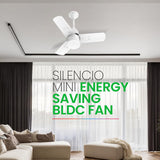 Polycab Silencio Mini BLDC 600 mm Ceiling Fan with Remote (Matt Satin White)