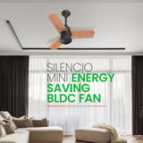 Polycab Silencio Mini 600mm BLDC Ceiling Fan with Remote (NATURAL WOOD)