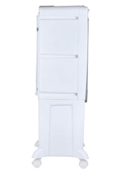Usha Aero Style 35AST1 35 litres Tower Cooler (White)