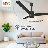 Havells REO Energex BLDC 1200MM Ceiling Fan (Matte Black)
