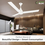 RR Signature Slimaire BLDC Ceiling Fan with Remote (Alice White)