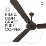 Polycab Vital Plus 1200mm 1 Star Rated Ceiling Fan (Metallic Roast Coffee)