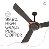 Polycab Superb Neo 1200 mm High Speed Ceiling Fan 【Jaco Bean Bronze Gold】