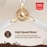 RR Signature Jaipur Mahal 1320mm Designer Ceiling Fan (Agaria White)