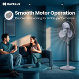 Havells Windstorm Ultra Plus 500mm Pedestal Fan (Grey)