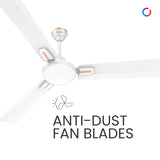 Polycab Vital Plus HS 1200mm 1-Star Ceiling fan (Satin White)