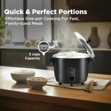 Havells Riso Plus 1.8 Litre 2 Bowl 700W Rice Cooker (Black)