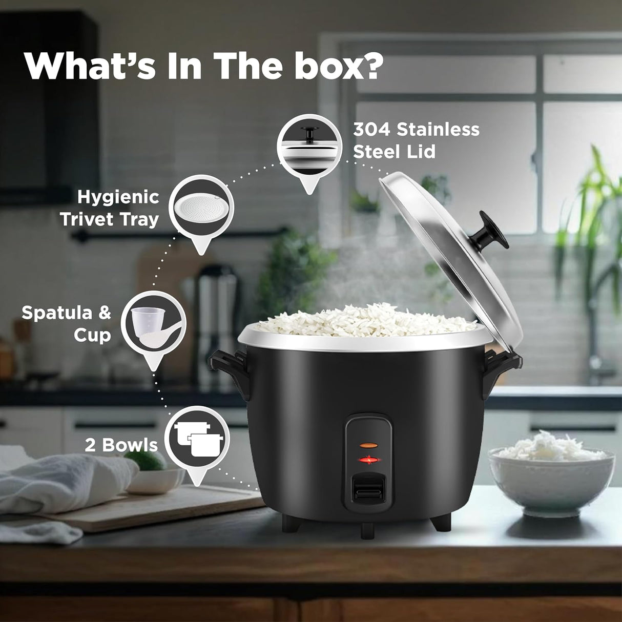 Havells Riso Plus 1.8 Litre 2 Bowl 700W Rice Cooker (Black)