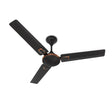 Black ceiling fan with bronze accents on a white background