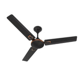 Black ceiling fan with bronze accents on a white background