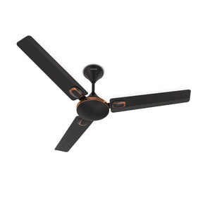 Black ceiling fan with bronze accents on a white background