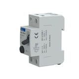 Lauritz Knudsen Tripper Double Pole 40A 100mA RCCB