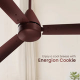 Crompton Energion Cookie 1200mm Ceiling Fan (Brown)