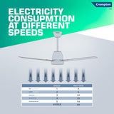 Crompton Energion Niteo 1200 mm BLDC Ceiling Fan (Matte Black)