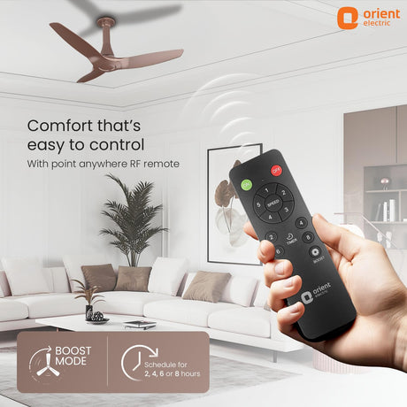 Hand holding a remote control with 'Orient Electric' branding in a living room setting.