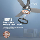 Havells Crista 1200mm BLDC Premium Ceiling Fan (Slate)