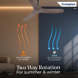 This fan has two way rotation fr summer and winter for warm air circulation and for cool air circulation 