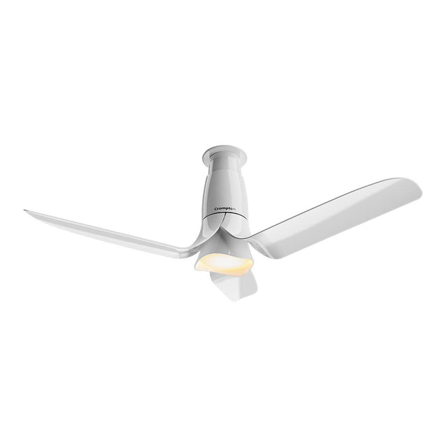 The White ceiling fan like flower and underlight feature with white background 
